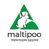 Maltipoo