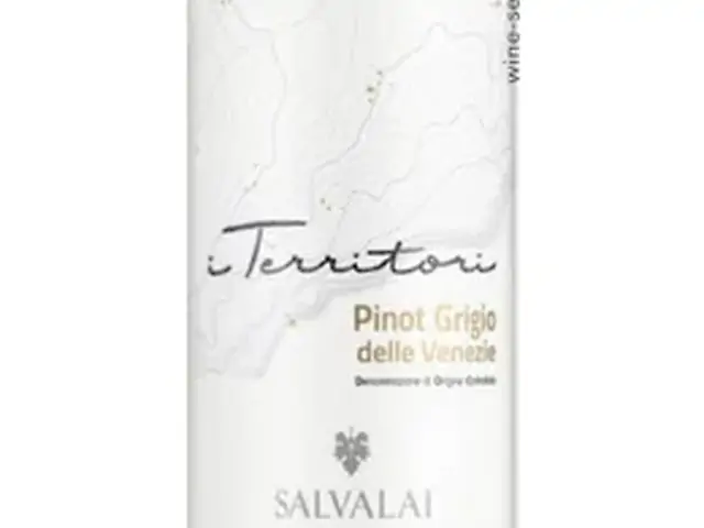 Вино Salvalai Pinot Grigio Delle Venezie DOC біле сухе 0.75 л 12.5%