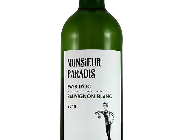Вино Monsieur Paradis Sauvignon IGP, сухе біле 12,0%, 0,75л