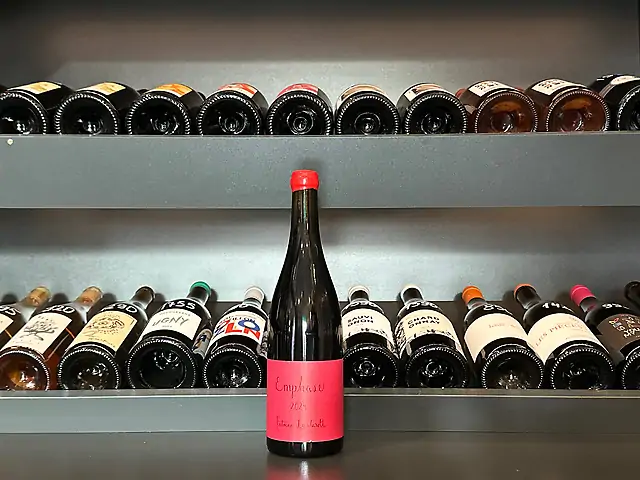 Antoine Lienhardt - Emphase 2024