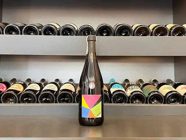 Mirco Mariotti - Surliè!, 2019
