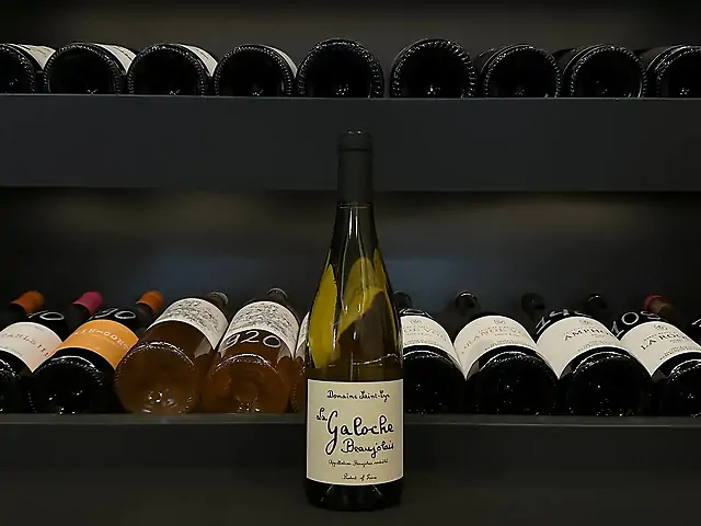 Domaine Saint-Syr, La Galoche Blanc, 2023