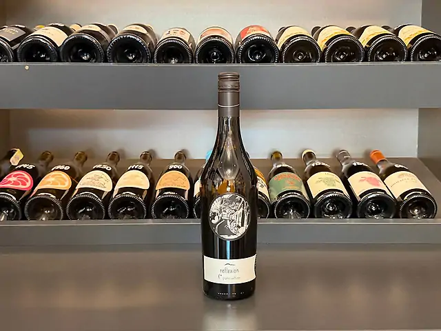 Johannes Zillinger - Reflexion Grüner Veltliner Ried Kellerberg, 2023