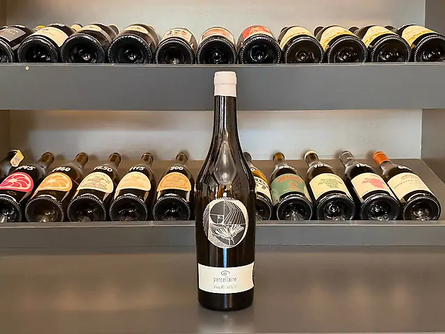 Johannes Zillinger - Parcellaire Blanc #1, 2022