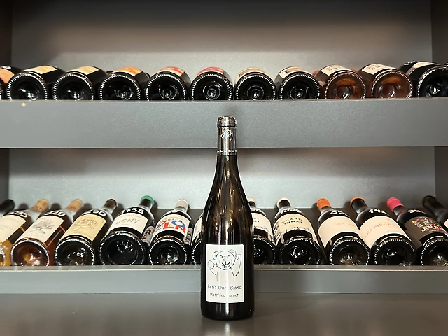 Matthieu Barret - Petit Ours Blanc, 2024