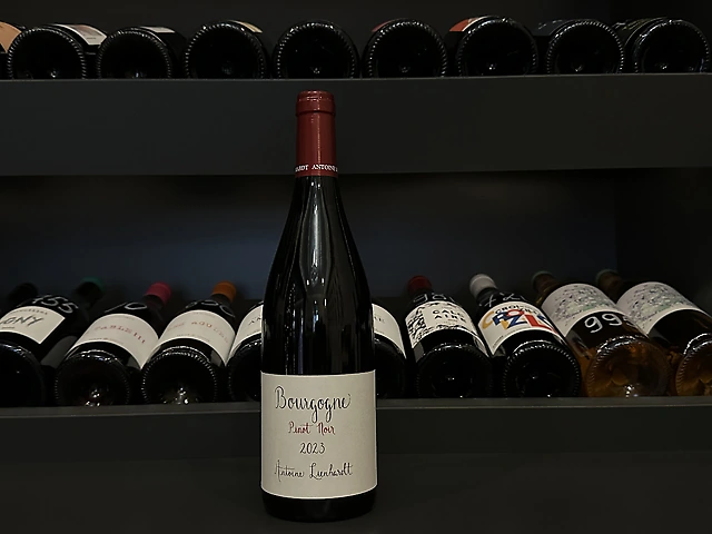 Antoine Lienhardt, Bourgogne Rouge, 2023