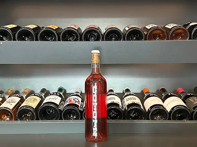 Marius Bielle - Coyote, 2023