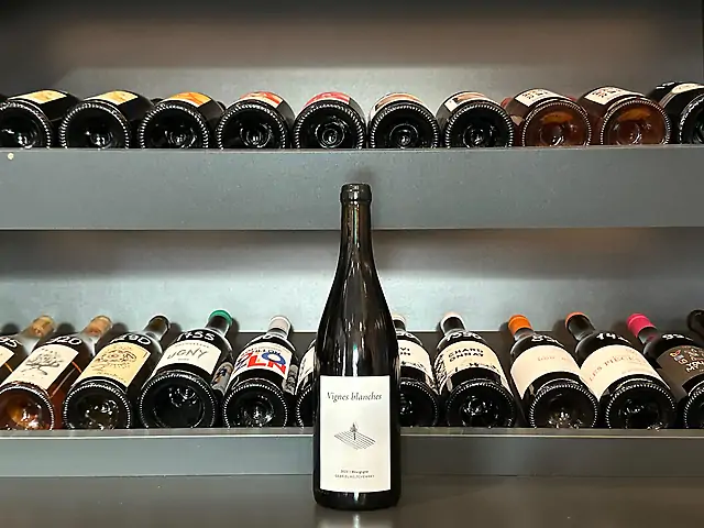 Gabriel Keltchewsky - Les Vignes Blanches 2023