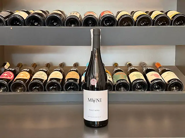 Daniele Piccinin - Muni Pinot Nero, 2019