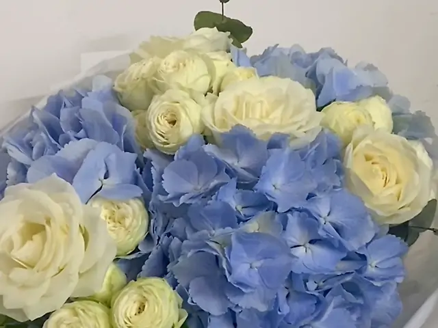 Стиль