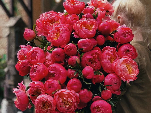 Півонія Coral Charm