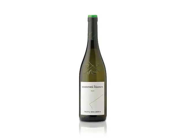Vigna Dogarina Venezia DOC Manzoni bianco
