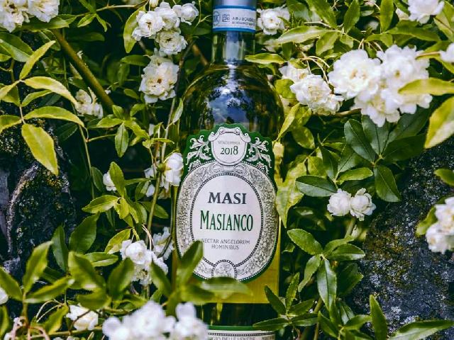 "MASI  MASIANCO" Pinot Grigio  Delle  Venezie DOC / "МАЗИ МАСЬЯНКО"   Пино Гриджио ( бел.сух.) Италия