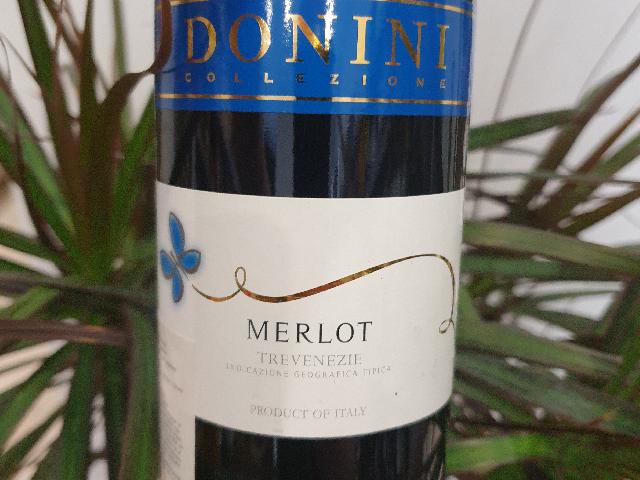 Donini Merlot Trevenezie /   Донини Мерло Тревенеция (сух .)