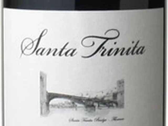 Вино Santa Trinita Chianti DOCG, червоне сухе, 12,5%, 0,75л