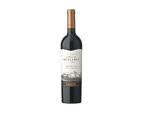 Carmenere Castillo de Molina