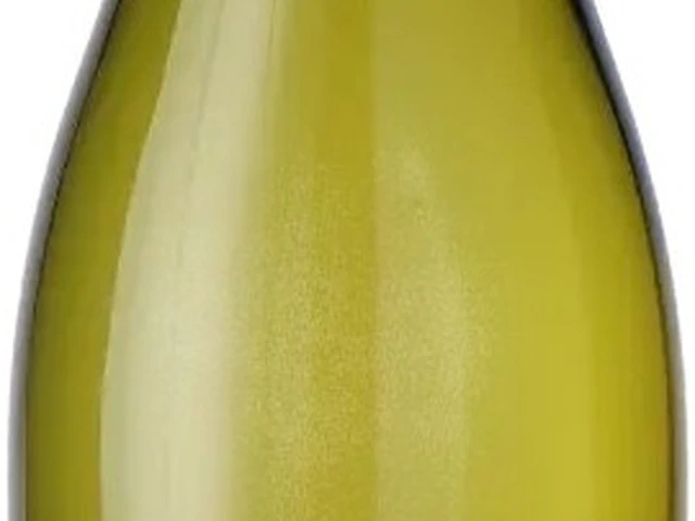 Pinot Grigio della Venezia DOC Cecilia Beretta