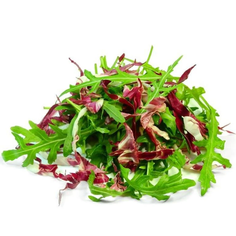 Суміш салатів з руколою, 125 г