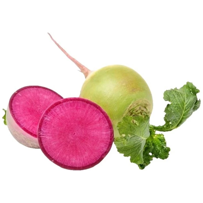 Редька кавунова