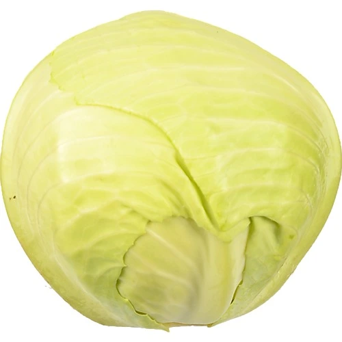 Капуста