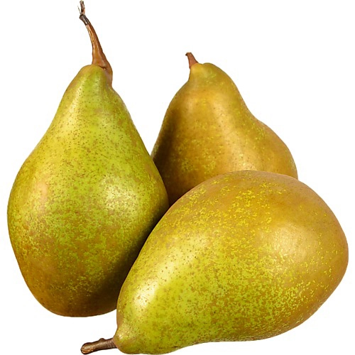 Груша Ксения