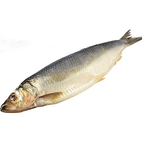 Оселедець Green Marine норвезький