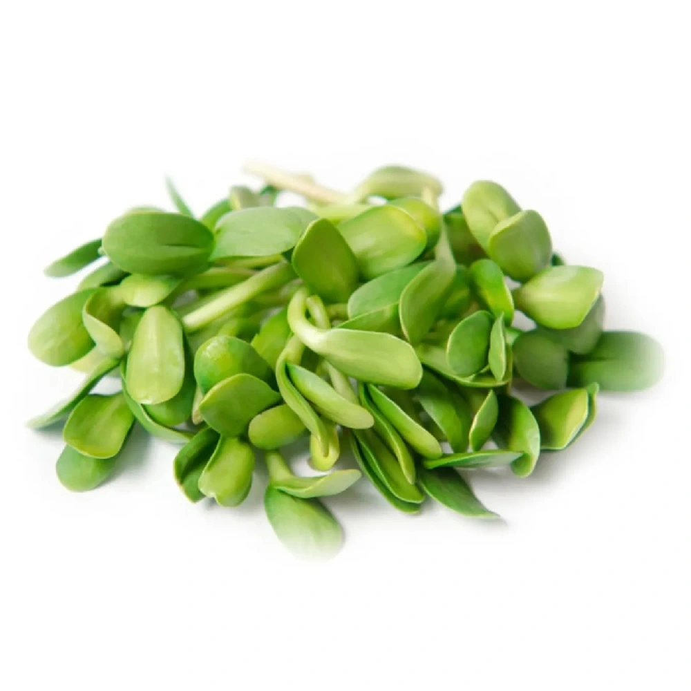 Мікрозелень соняшнику