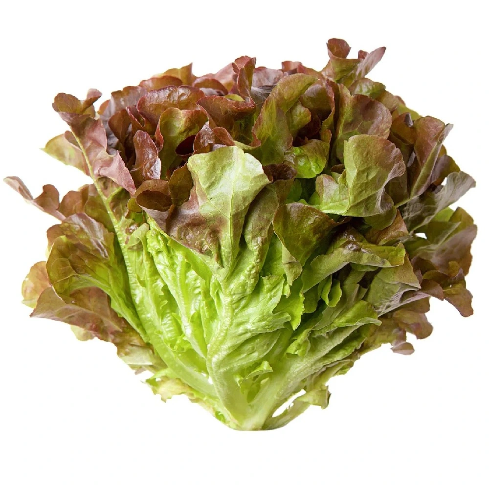 Салат Дубок