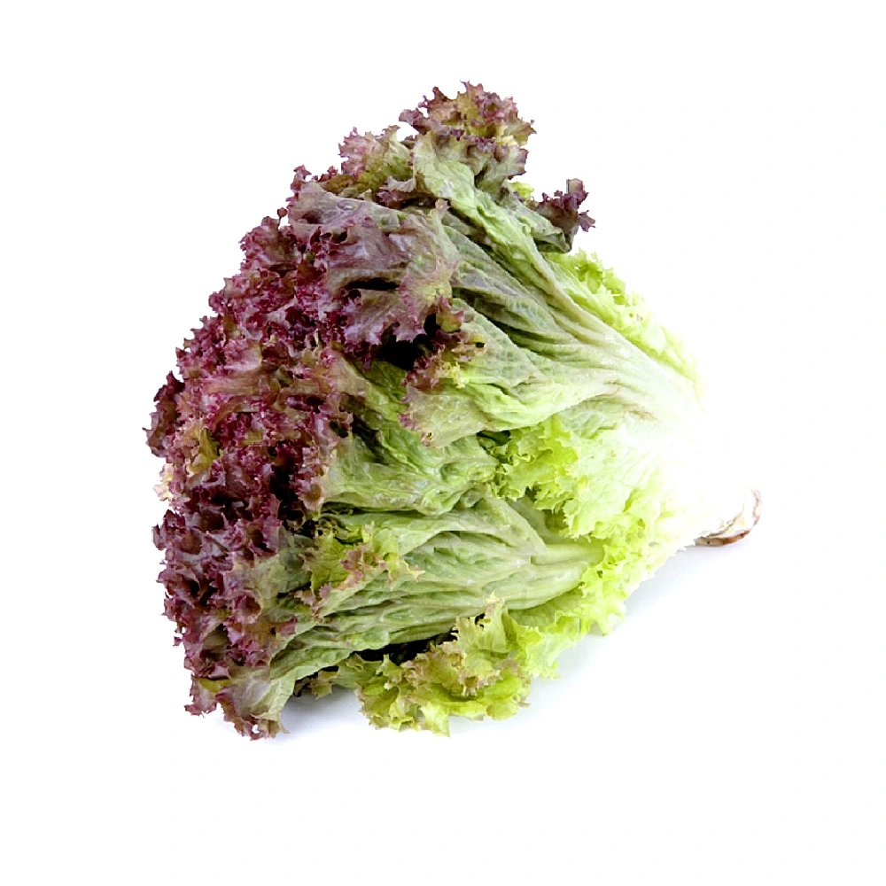 Салат Лола Роса