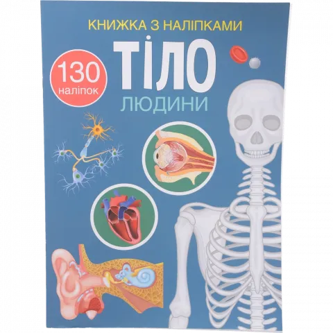 Книга КрБук Книжка з наліпками. Тіло людини