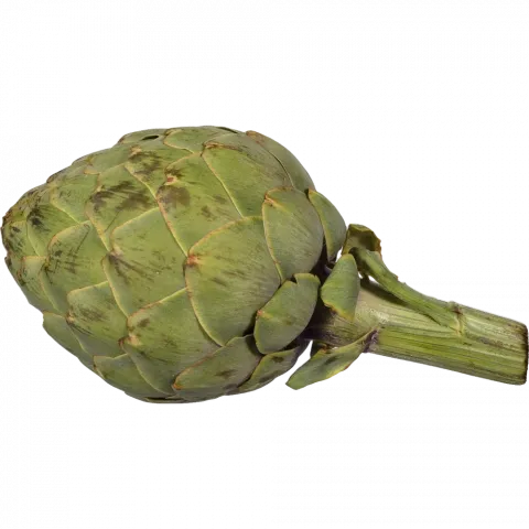 Артишок шт