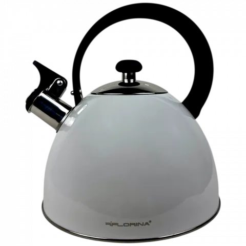 Чайник FLORINA нерж. сталь 2,5л світло-сірий арт. 5C6911 И911