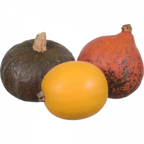 Гарбуз декоративний вага