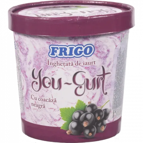 Морозиво FRIGO 300 г Йо-гурт` Чорна смородина (Молдова) И533`